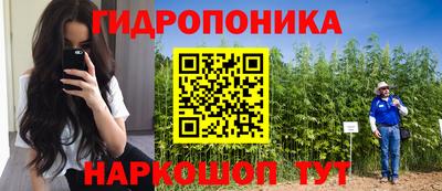 герыч Будённовск