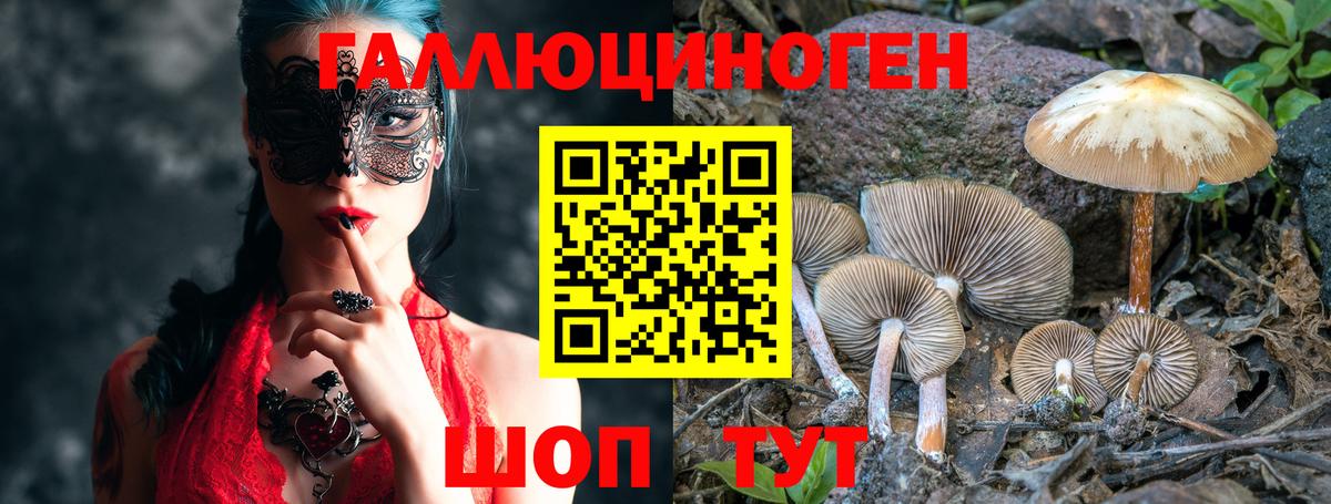 Псилоцибиновые грибы Magic Shrooms Сергиев Посад