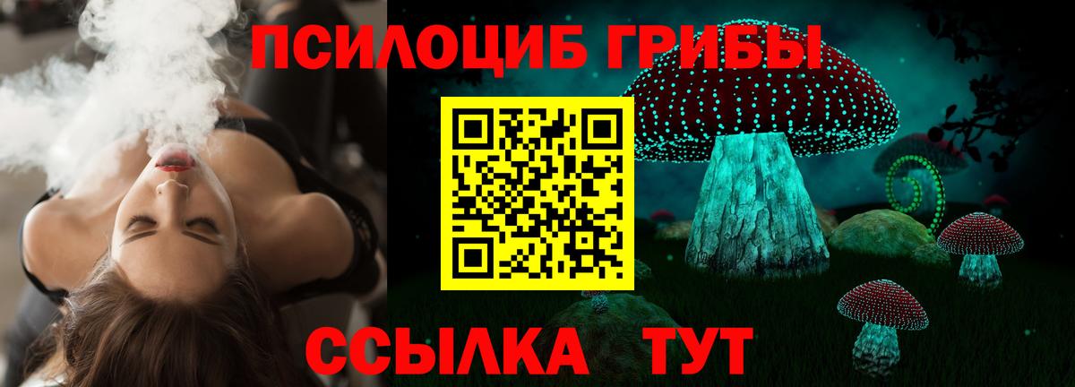где найти наркотики  Псилоцибиновые грибы MAGIC MUSHROOMS  Вход с VPN  Псилоцибиновые грибы Magic Shrooms  Сергиев Посад 